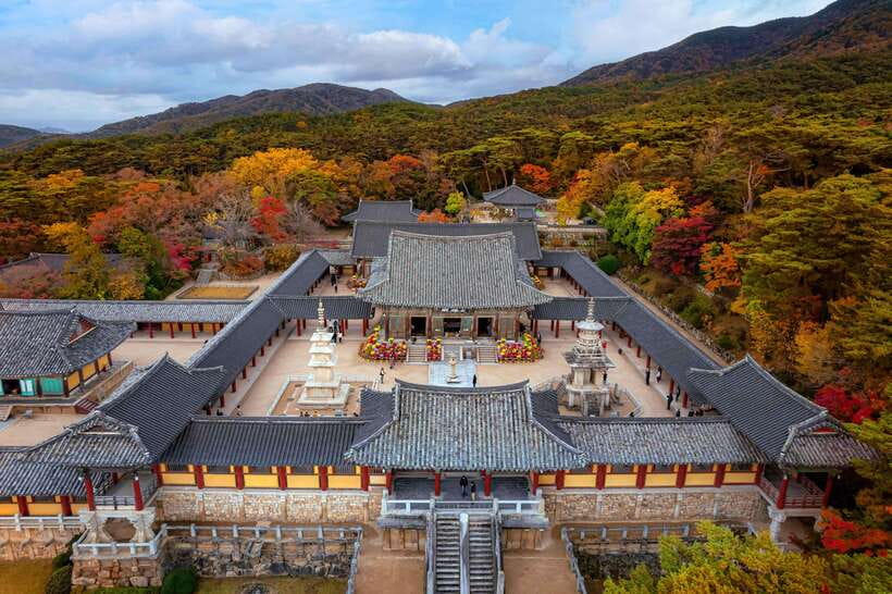 From Busan: Gyeongju Full-Day Historical Tour - Why Gyeongju makes a good day trip from Busan