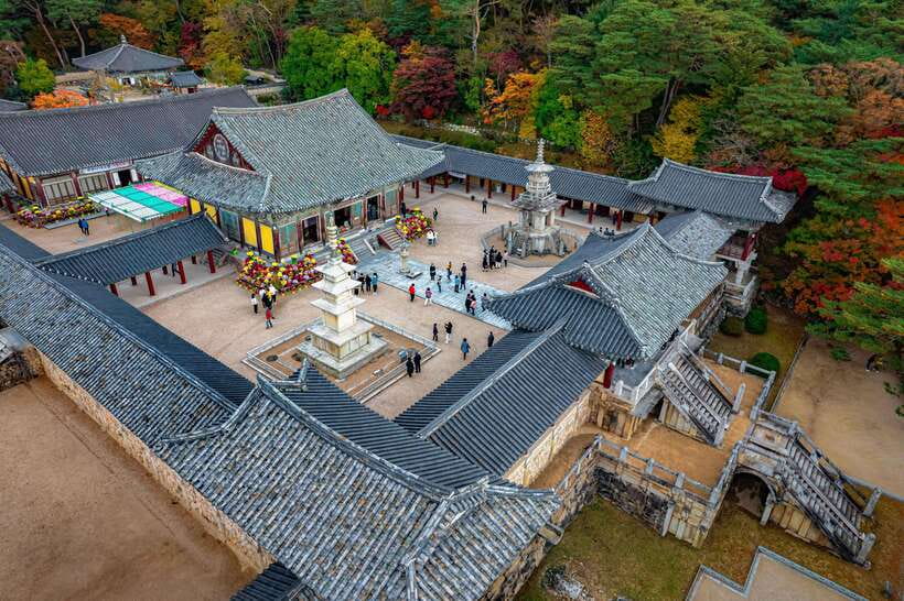 From Busan: Gyeongju Full-Day Historical Tour - Meeting the bus in Busan