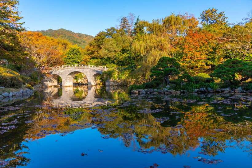 From Busan: Gyeongju Historical Day Tour with Sky Capsule - Daereungwon makes Silla royalty visible