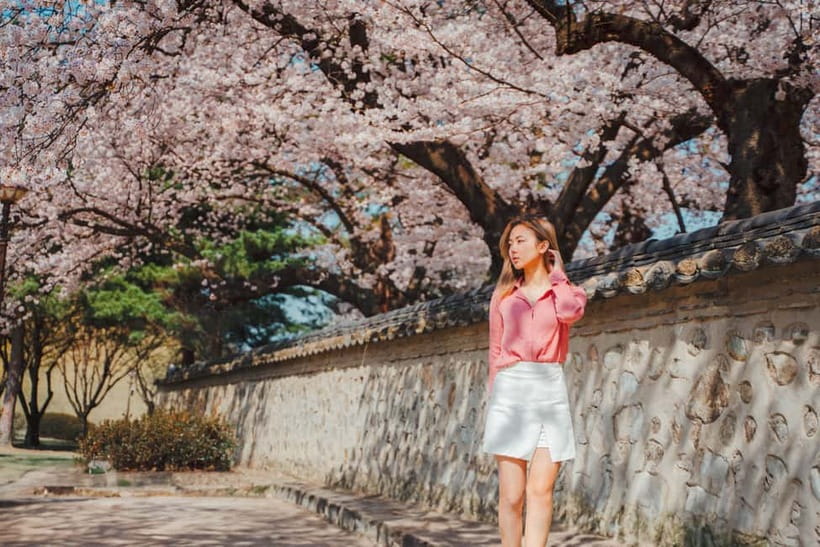 From Busan: Gyeongju Small Group Photo Tour & Hotel Pick-up - Gyeongju Gyochon Traditional Village, 70 minutes