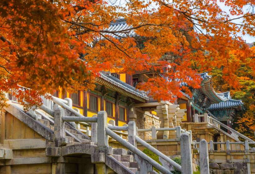 From Busan: Gyeongju UNESCO World Heritage Guided Day Tour - Key points before you book
