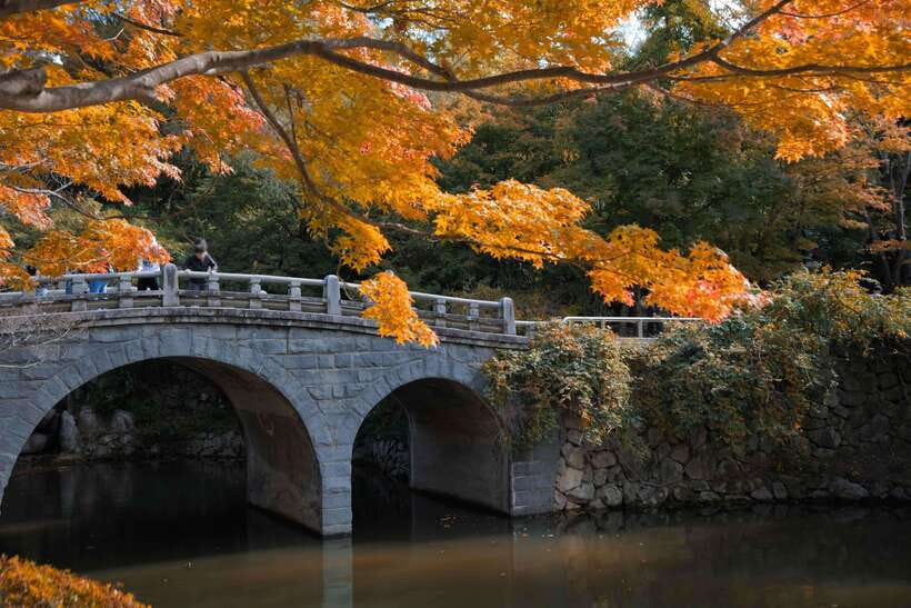 From Busan: Gyeongju UNESCO World Heritage Guided Day Tour - Hwangnidan Street, a modern break in an old city