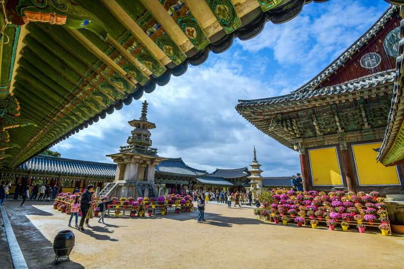 From Busan: Gyeongju UNESCO World Heritage Guided Day Tour - Woljeong Bridge after dark