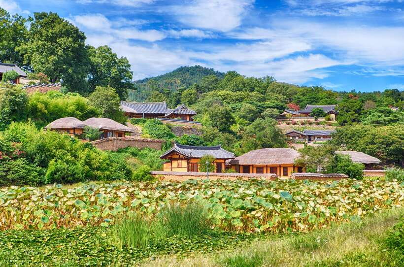 From Busan: Gyeongju UNESCO World Heritage Guided Day Tour - Donggung Palace and Wolji Pond, the evening highlight