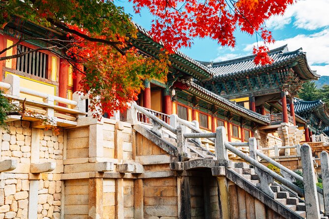 From Busan to Gyeongju UNESCO Legacy Tour with National Museum - Why this Busan day trip works