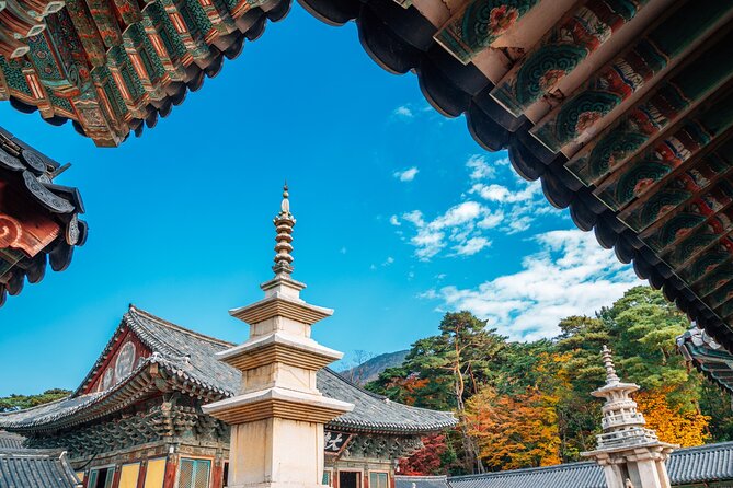 From Busan to Gyeongju UNESCO Legacy Tour with National Museum - Ahopsan Forest: bamboo, shade, and a muddy path