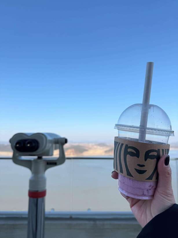 From Seoul: Aegibong Starbucks Observatory & DMZ View - Aegibong Peace Eco Park and its layered story