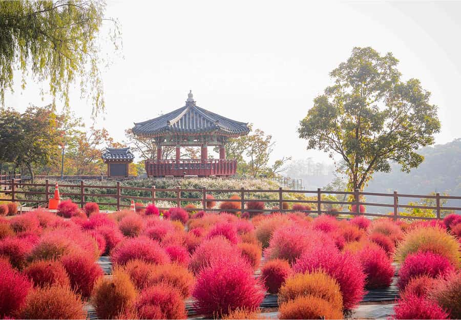 From Seoul: Cheorwon DMZ & 2nd Tunnel One Day Tour - Key points to know before booking