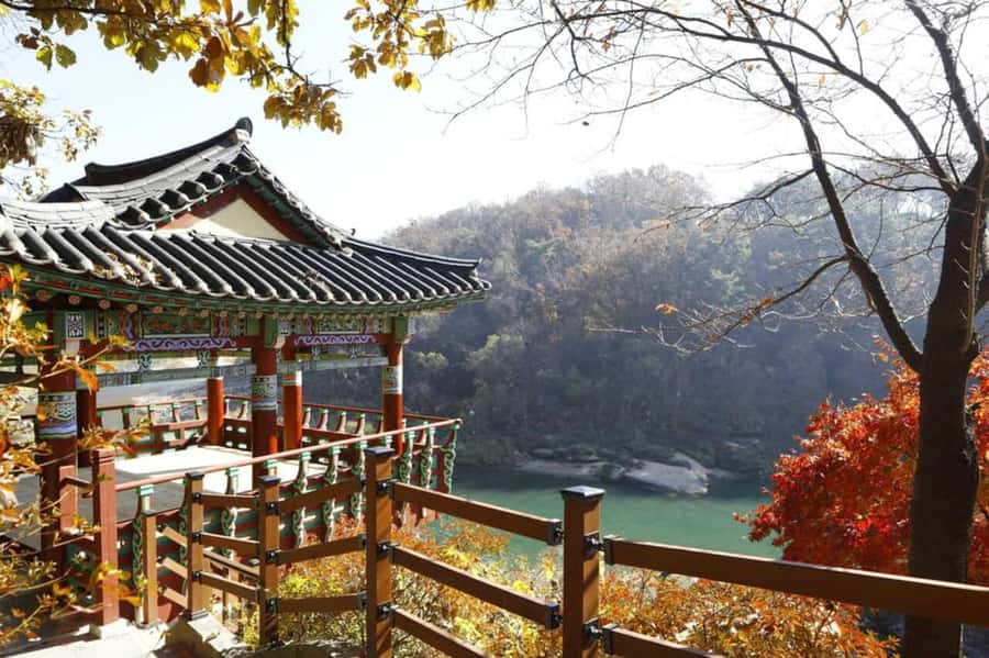 From Seoul: Cheorwon DMZ & 2nd Tunnel One Day Tour - What the guide and transport add
