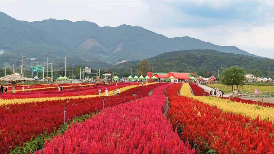 From Seoul: Cheorwon DMZ & 2nd Tunnel One Day Tour - Goseokjeong Pavilion: a quiet beginning beside the river