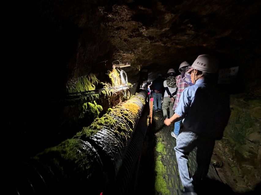 From Seoul: Cheorwon DMZ and 2nd Tunnel Tour with Lunch - Guides, group size, and the overall pace