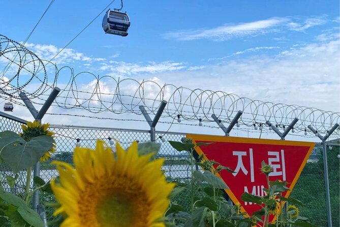 From Seoul: Cost-Benefit DMZ Shuttle Bus tour - What the $31 price really covers