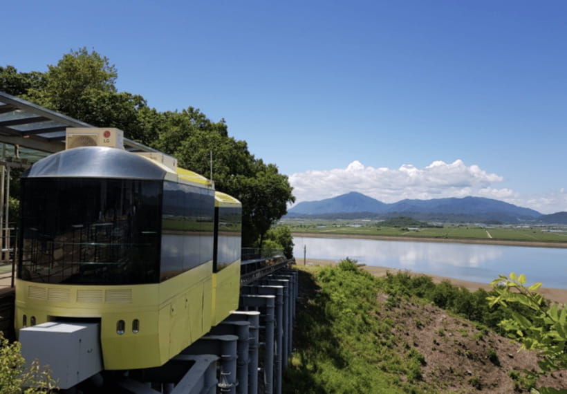 From Seoul: DMZ 2nd Tunnel & Y Shaped Suspension Bridge Tour - The Y-Shaped Suspension Bridge in Pocheon-si