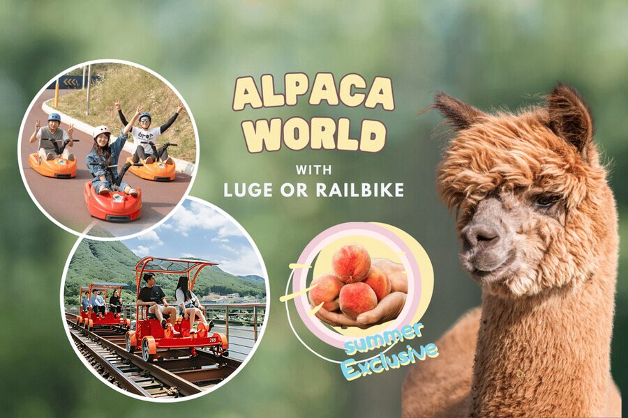 From Seoul: Full Day Trip to Alpaca Farm with Rail Bike - FAQ