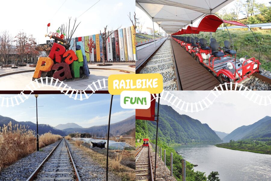 From Seoul: Full Day Trip to Alpaca Farm with Rail Bike - Vivaldi Park and the optional luge run