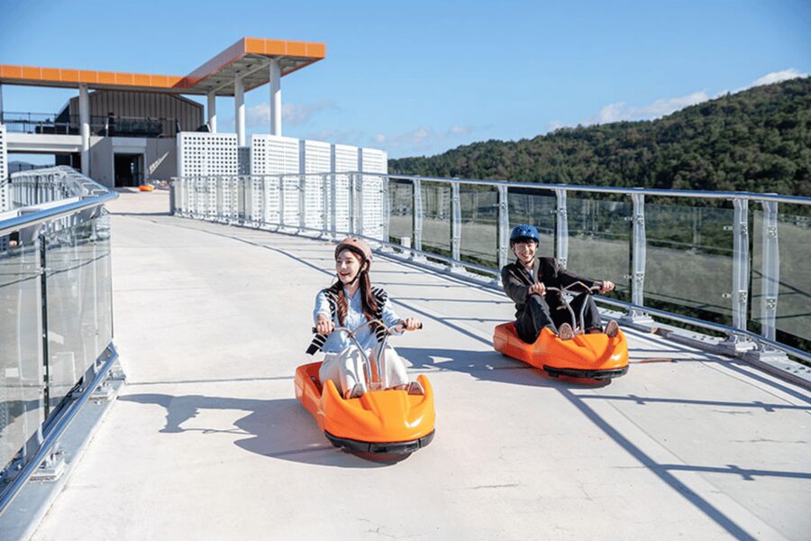 From Seoul: Full Day Trip to Alpaca Farm with Rail Bike - Is this Gangwon day trip worth booking?