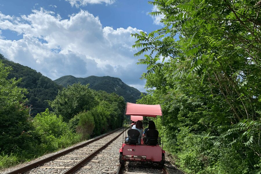 From Seoul: Full Day Trip to Alpaca Farm with Rail Bike - Gangchon Rail Park and the old railway ride