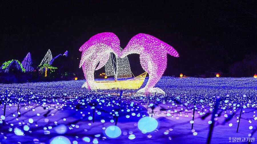 From Seoul: Hwacheon Ice Fishing and Lighting Festival Tour - Key points to know before booking