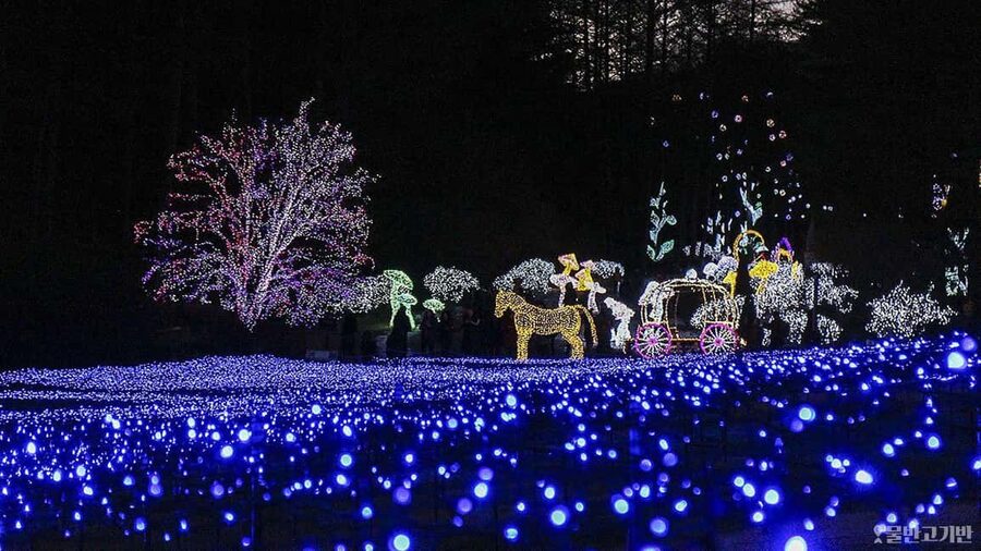 From Seoul: Hwacheon Ice Fishing and Lighting Festival Tour - Why this pairing works so well