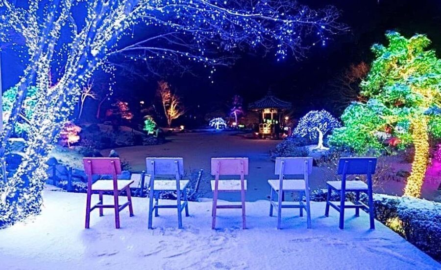 From Seoul: Hwacheon Ice Fishing and Lighting Festival Tour - Hwacheon Sancheoneo Ice Festival: the lively first stop