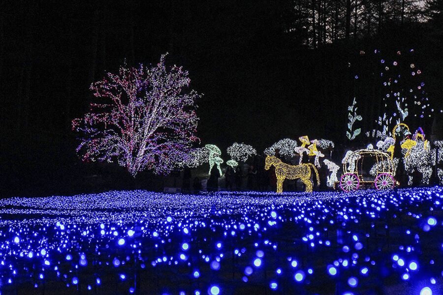 From Seoul: Hwacheon Ice Fishing and Lighting Festival Tour - Sleds, food, and time to explore