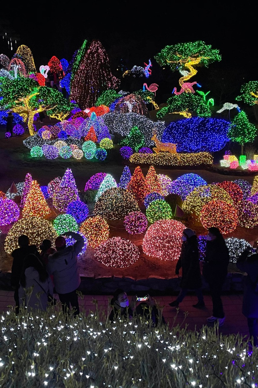 From Seoul: Hwacheon Ice Fishing and Lighting Festival Tour - Garden of Morning Calm after dark