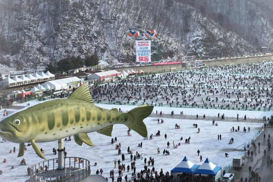 From Seoul: Hwacheon Ice Fishing and Lighting Festival Tour - Who should book this winter day out?