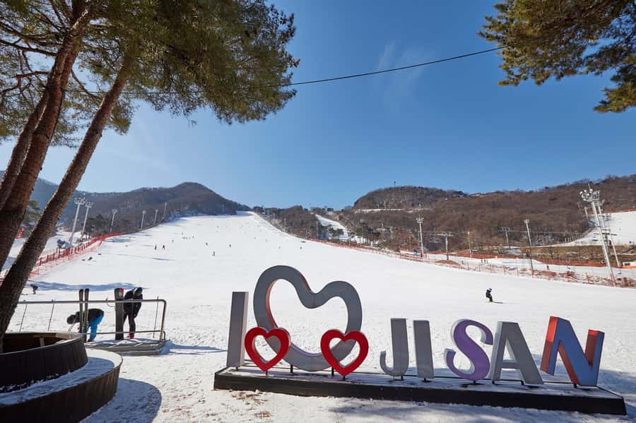 From Seoul: Korea Ski Tour - Jisan Forest Resort - Booking Advice for a Smoother Day
