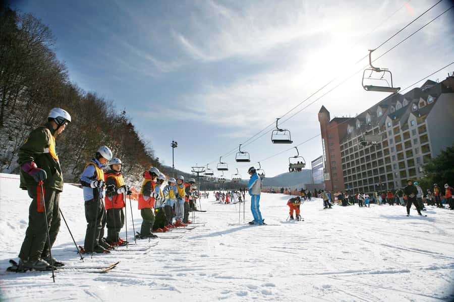 From Seoul: Korea Ski Tour - Jisan Forest Resort - The 120-Minute Lesson: What You Actually Learn