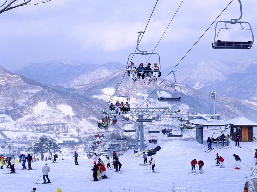 From Seoul: Korea Ski Tour - Jisan Forest Resort - Is $35 Good Value?