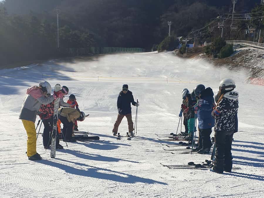 From Seoul: Korea Ski Tour - Jisan Forest Resort - Who Should Choose This Ski Day?