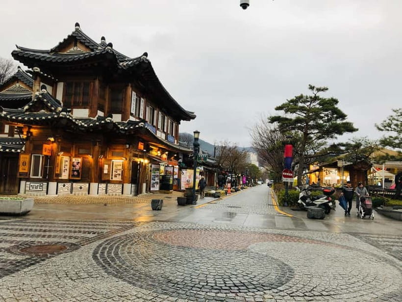 From Seoul: Korea Spring Cherry Blossom Day Tour - Guides, group feel, and practical support