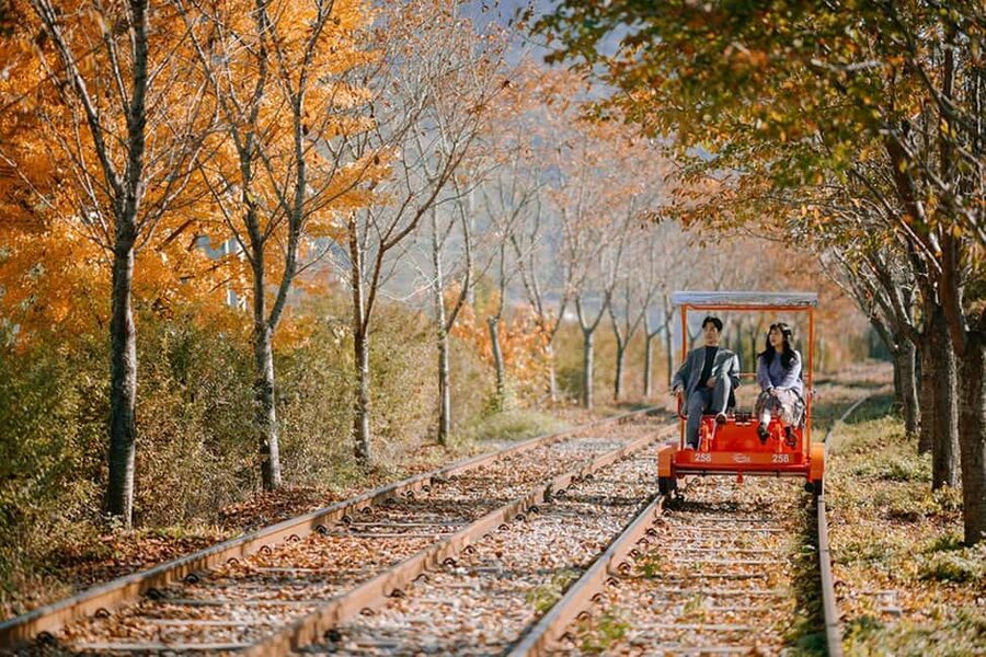 From Seoul: Nami Island, K-drama Garden & Rail Bike Day Tour - Key points before you book