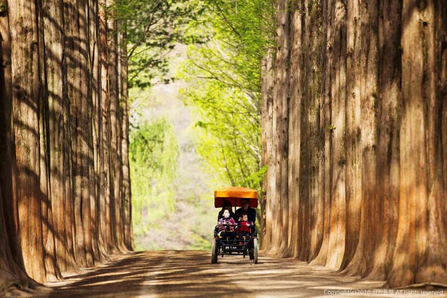 From Seoul: Nami Island, K-drama Garden & Rail Bike Day Tour - Nami Island: scenic paths with a K-drama mood