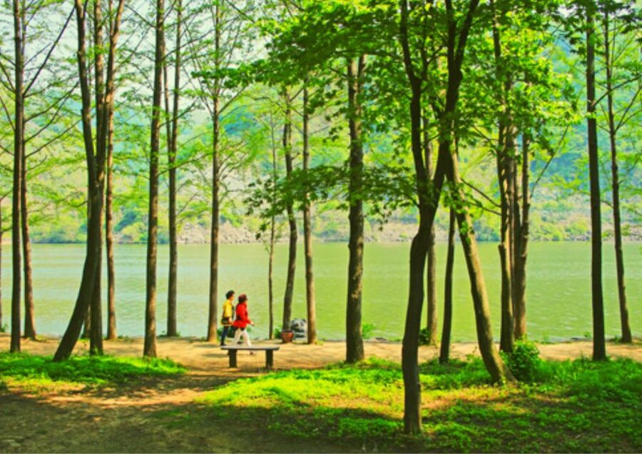 From Seoul: Nami Island, K-drama Garden & Rail Bike Day Tour - Gangchon Rail Bike: the day’s playful challenge