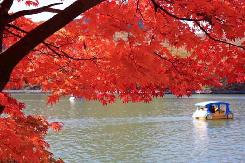 From Seoul: Pocheon, Sanjung Lake and Bidulginang Fall Trip - Guides can make a long day easier