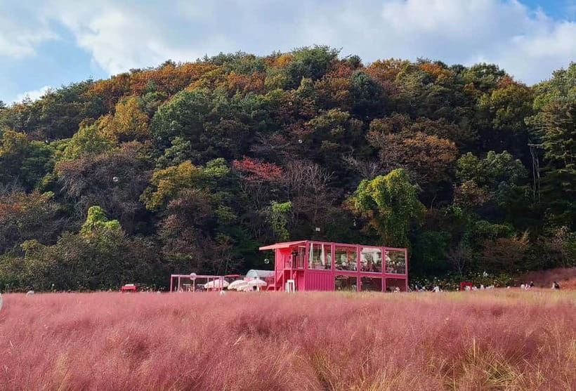 From Seoul: Pocheon, Sanjung Lake and Bidulginang Fall Trip - Sanjung Lake, where the season matters most