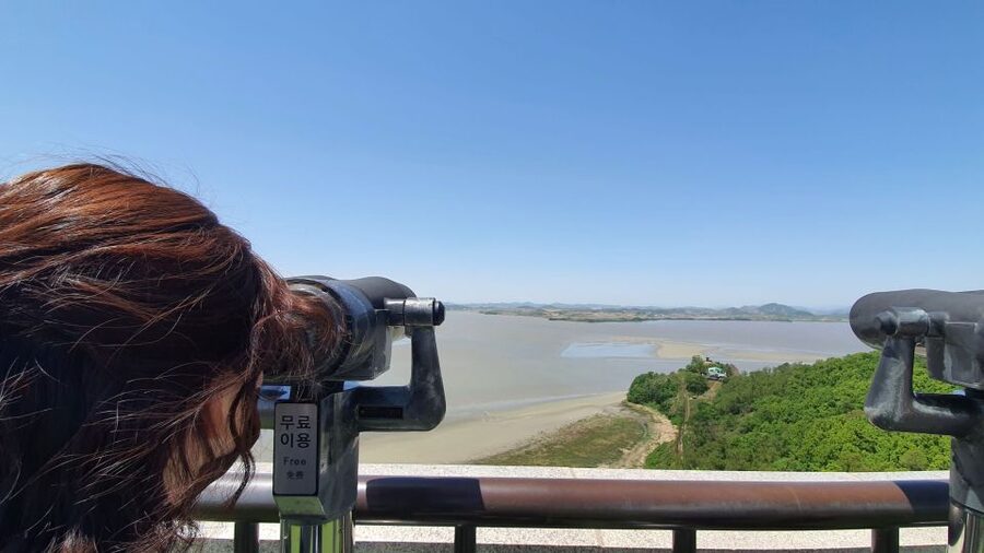 From Seoul: Private DMZ and Odusan Observatory Full-Day Tour - Key points to know before you book