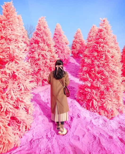 From Seoul: Romantic Winter Wonderland Tour - Why this winter outing works near Seoul