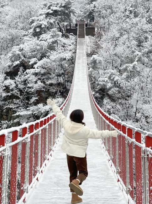 From Seoul: Romantic Winter Wonderland Tour - Mt Gamaksan Suspension Bridge and the snowy view