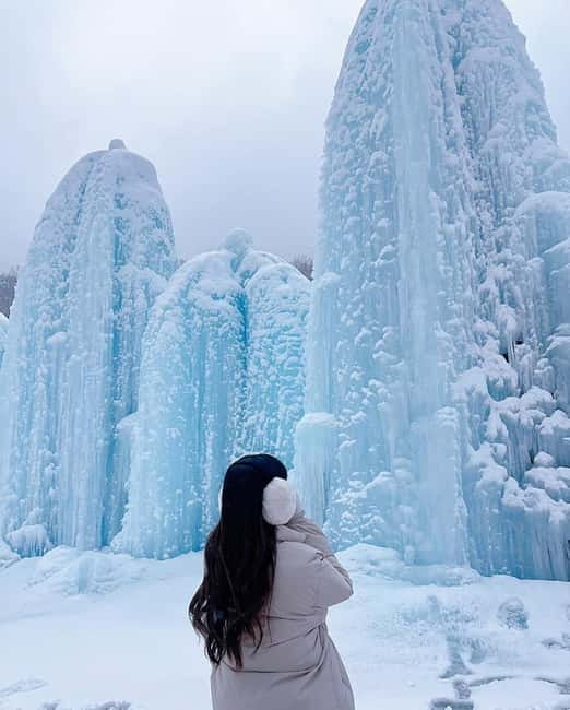 From Seoul: Romantic Winter Wonderland Tour - Who should book this winter day tour