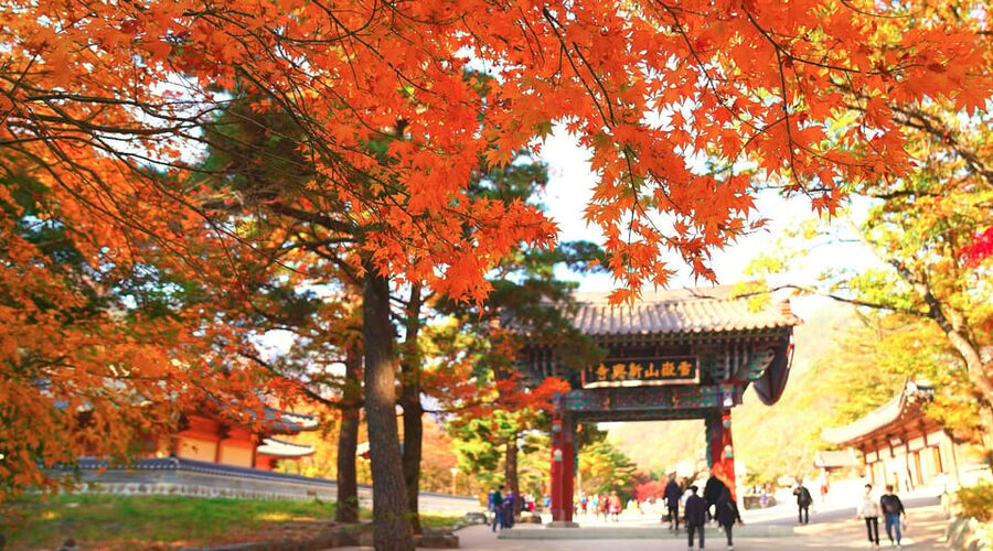 From Seoul: Seoraksan Mountain with Cable Car- Shuttle Bus - Five things to know before booking
