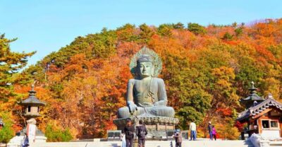 Seoraksan Mountain with Cable Car- Shuttle Bus