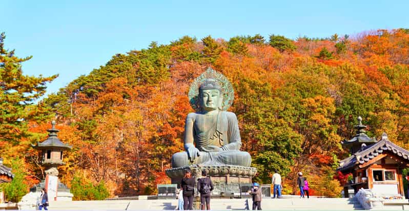From Seoul: Seoraksan Mountain with Cable Car- Shuttle Bus - Autumn color, weather, and the limits of the schedule
