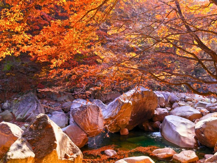From Seoul: Seoraksan Mountain with Cable Car- Shuttle Bus - How much time will you really have?