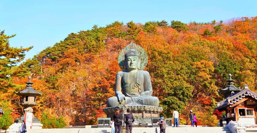 From Seoul: Seoraksan Mountain with Cable Car- Shuttle Bus - The ride from Seoul to Gangwon Province