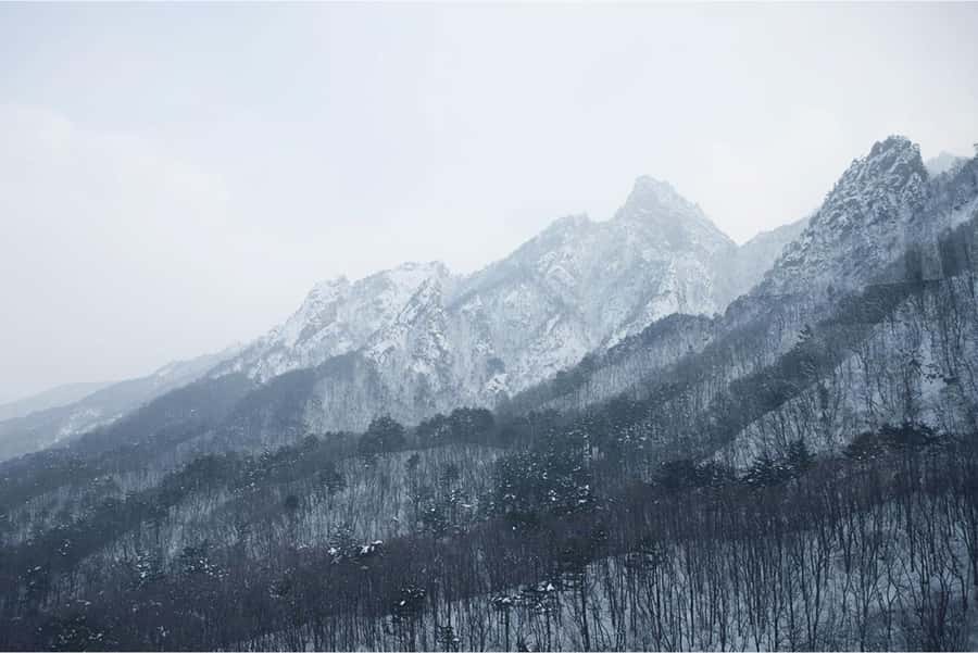 From Seoul: Seoraksan National Park and Nami Island Day Trip - Key points to know before booking