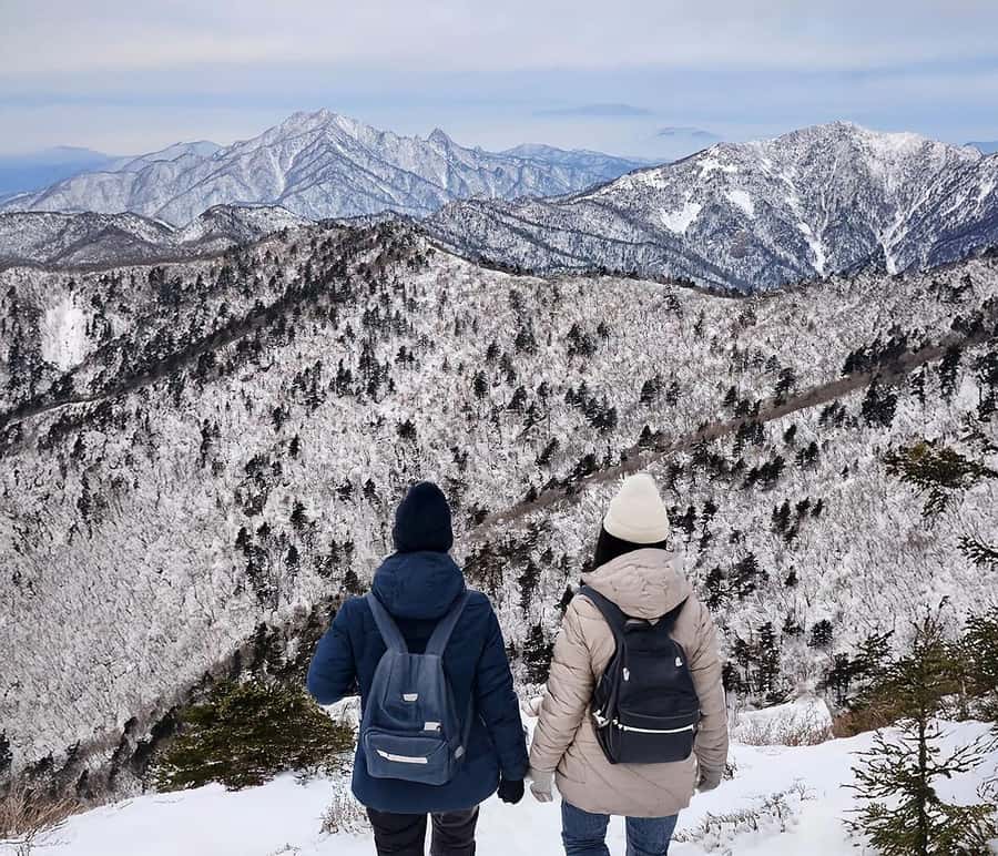 From Seoul: Seoraksan National Park and Nami Island Day Trip - Seoraksan National Park: choose views or walking