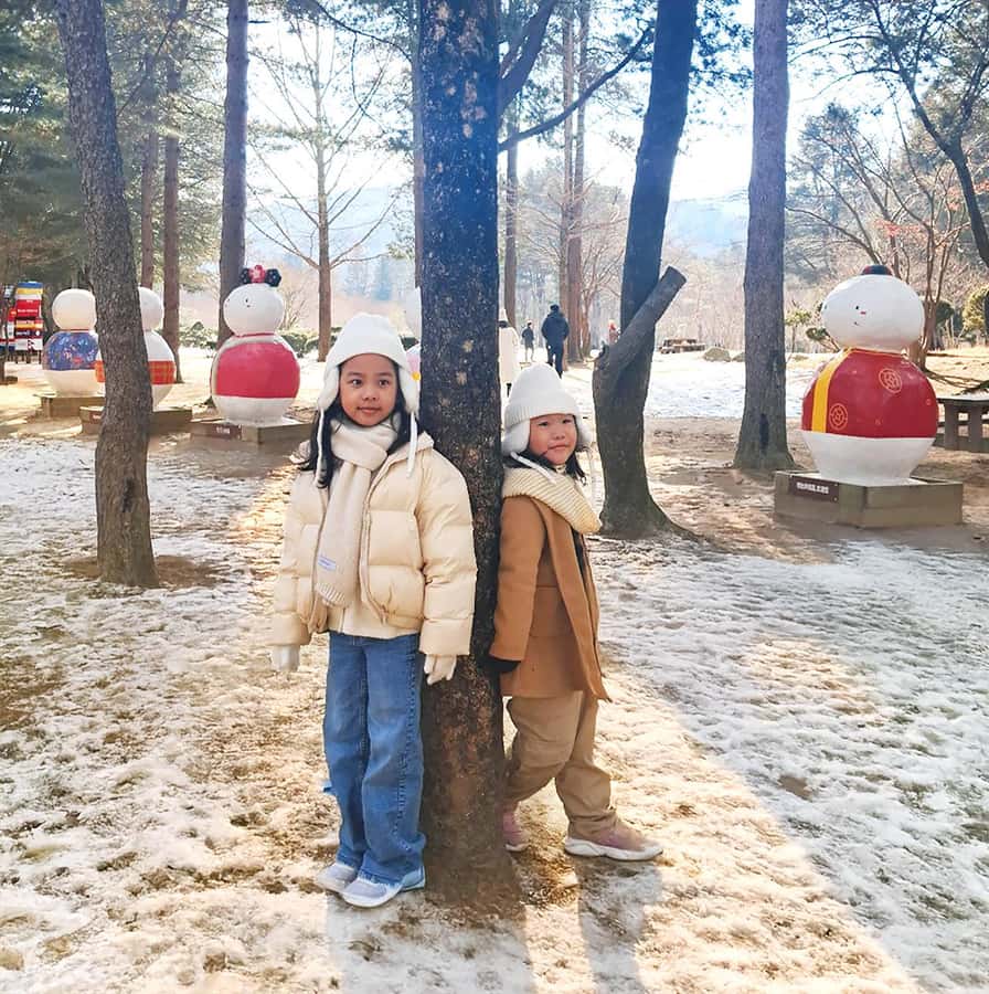 From Seoul: Seoraksan National Park and Nami Island Day Trip - Where the shared railbike fits