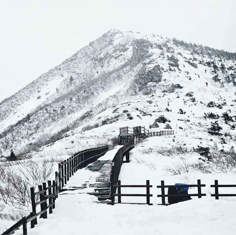 From Seoul: Seoraksan National Park and Nami Island Day Trip - Is $71 a fair price?